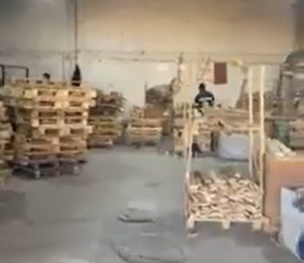 Çalışma Alanımızdan